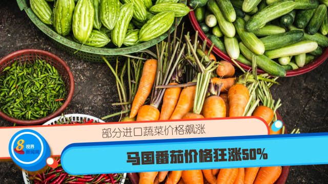 部分进口蔬菜价格飙涨 马国番茄价格狂涨50%