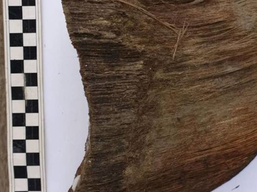 Woolly rhino remains found in melting Siberian permafrost Woolly rhino remains found in melting Siberian permafrost