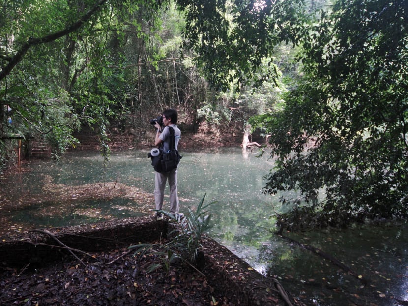 Abandoned reservoir near Telok Blangah Road found