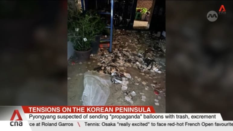 Propaganda warfare via balloons: Seoul accuses Pyongyang of sending filth