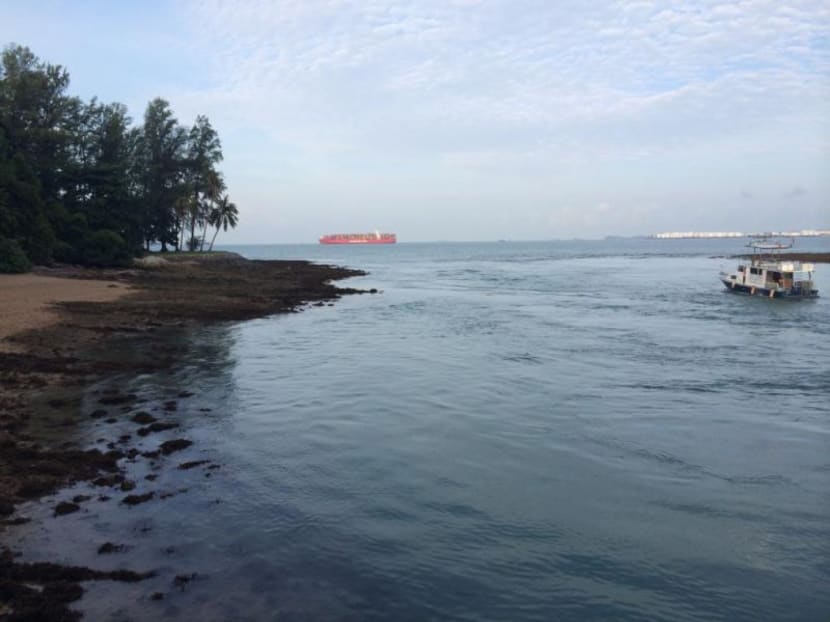 Sisters’ Islands Marine Park dives open for registration Sisters’ Islands Marine Park dives open for registration