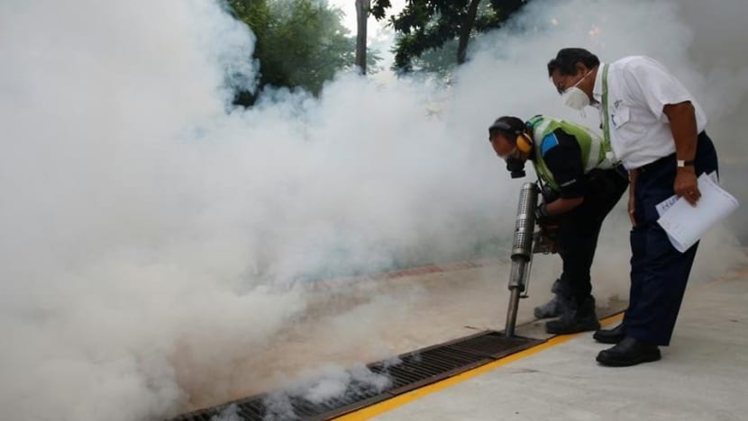 More than 2,000 dengue cases reported in first quarter
