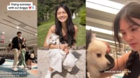 Ex Mediacorp Child Actress Travels With Pet Dog On Swiss Air Flight For 21-Day Holiday To Europe