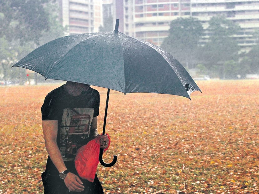 Rain poured down on many parts of Singapore on March 16 2014, after a record dry spell which caused grass patches and fields to turn brown. Photo: Ooi Boon Keong