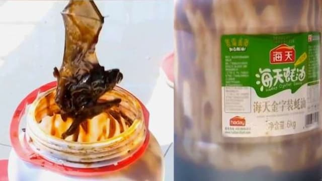 六公斤蚝油吃近三月 桶底竟发现完整蝙蝠！