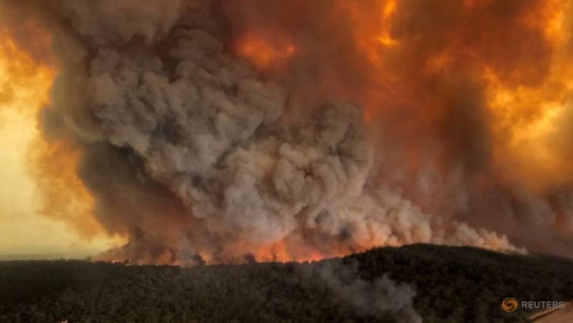 Flights, tour bookings from Singapore unaffected by Australia bushfires