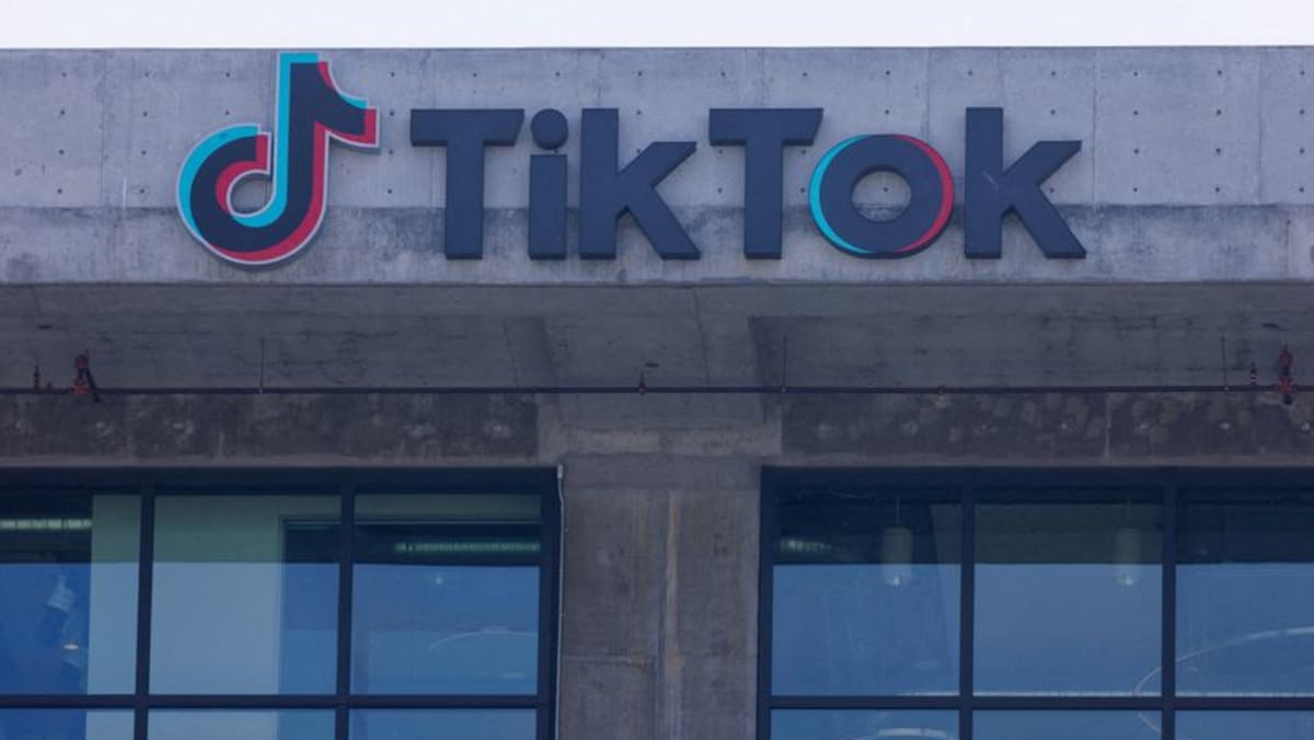 US House passes Bill to force ByteDance to sell TikTok or face ban CNA