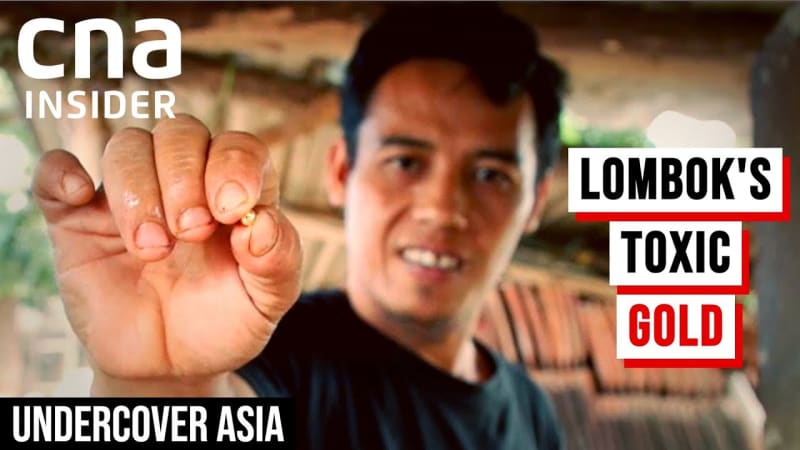lombok gold