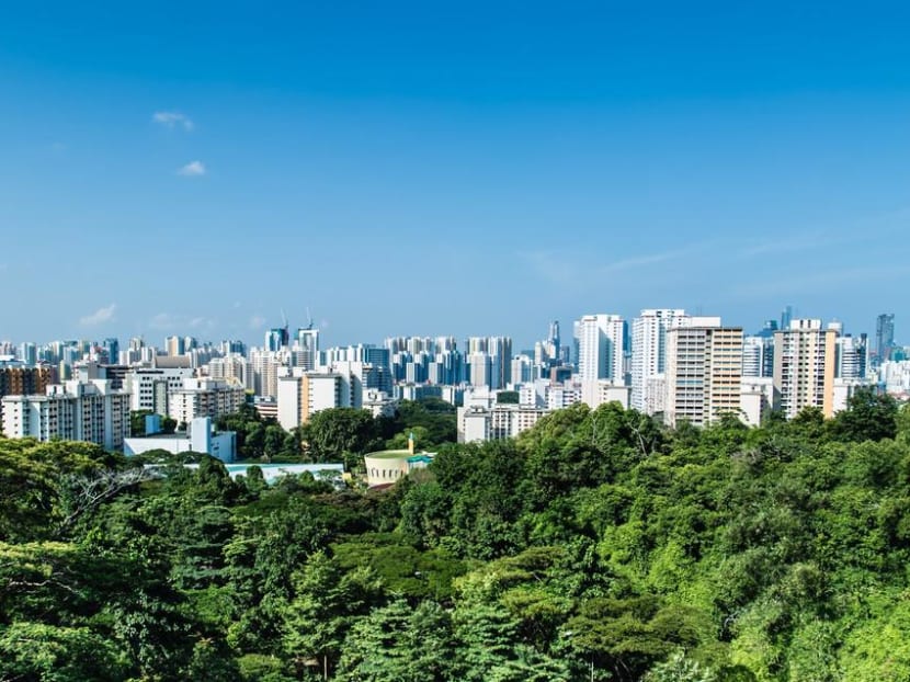 Experts have broadly welcomed details of the Government's Green Plan Singapore 2030 unveiled on Feb 10, 2021. Experts have broadly welcomed details of the Government's Green Plan Singapore 2030 unveiled on Feb 10, 2021.