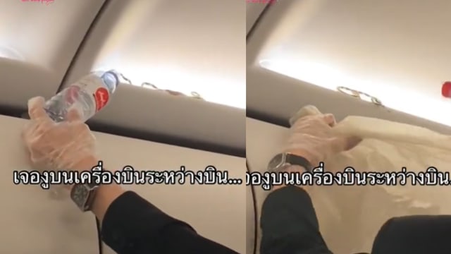 泰国航班出现不速之客 乘客抬头惊见一条蛇