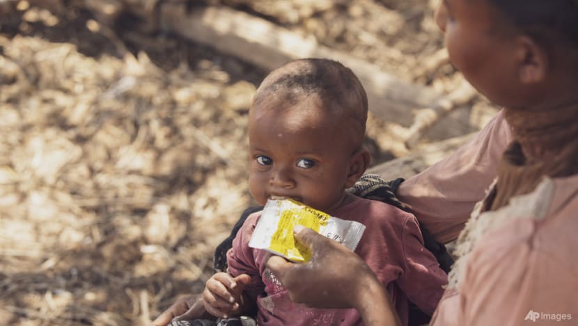 Billions needed to avert unrest, starvation: UN food chief