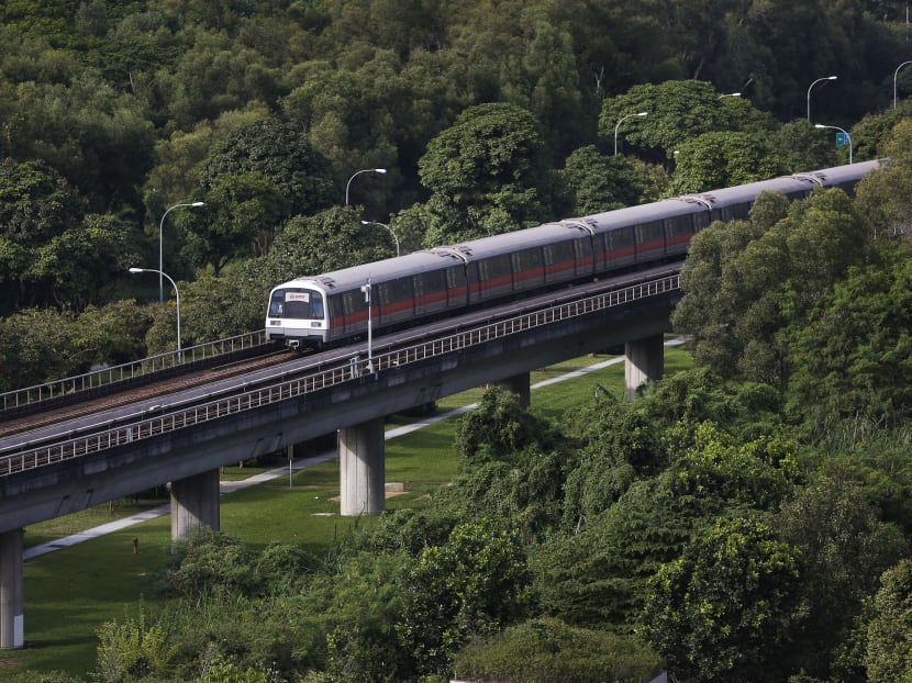 Train service between Ang Mo Kio and Yishun MRT stations disrupted after commuter climbed onto tracks Train service between Ang Mo Kio and Yishun MRT stations disrupted after commuter climbed onto tracks
