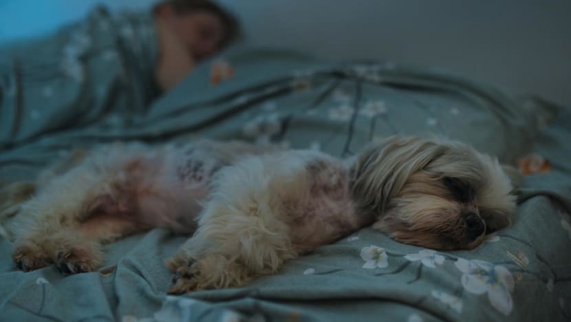 istock 1929892084
