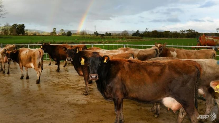 New Zealand's Fonterra to sell stakes in two China farms for US$62 million New Zealand's Fonterra to sell stakes in two China farms for US$62 million