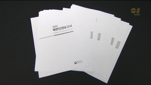 韩国首次对外发布朝鲜人权报告 揭露侵犯人权案例