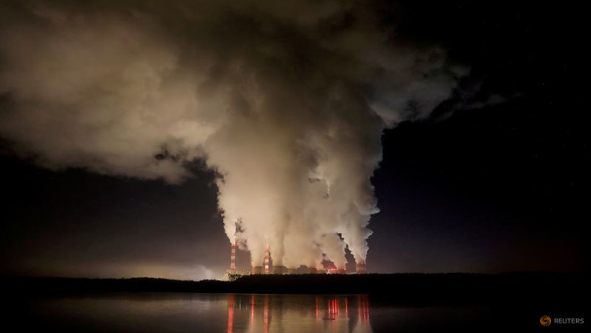 Bank Dunia, mitranya meluncurkan sistem pelacakan untuk membersihkan pasar karbon