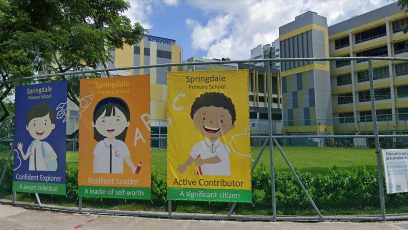 Air quality 'normal' near Springdale Primary School where 70 students experienced eye irritation, says NEA