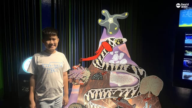 11岁自闭男孩与听障画家合作 为海洋馆打造圣诞装饰