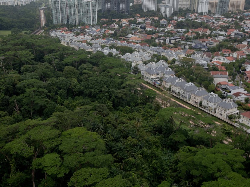 A view of Dover Forest from Ghim Moh Link on Jan 17, 2021. A view of Dover Forest from Ghim Moh Link on Jan 17, 2021.