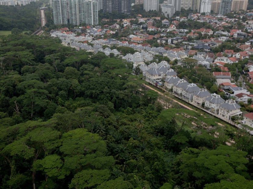 A view of Dover Forest from Ghim Moh Link on Jan 17, 2021.