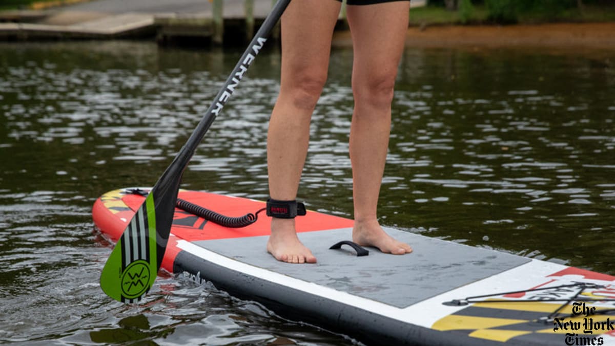 go-for-a-float-a-beginner-s-guide-to-stand-up-paddling