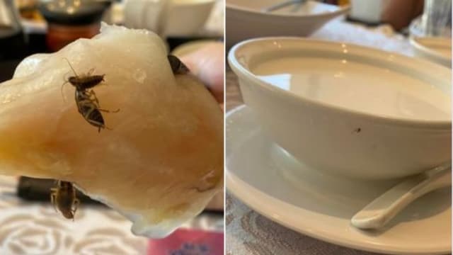 台湾餐厅虾饺搭配三只蟑螂 点心大餐变“蟑螂大餐”