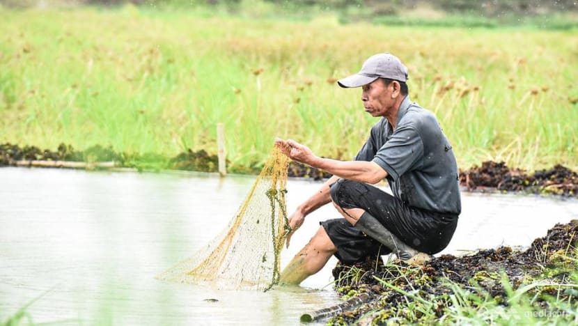 The Thai government wanted to pave paradise, but this forest community said no The Thai government wanted to pave paradise, but this forest community said no