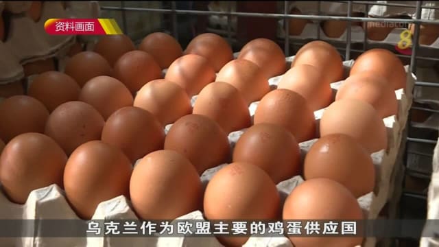 美法禽流感致全球供应紧张 鸡蛋价格持续走高