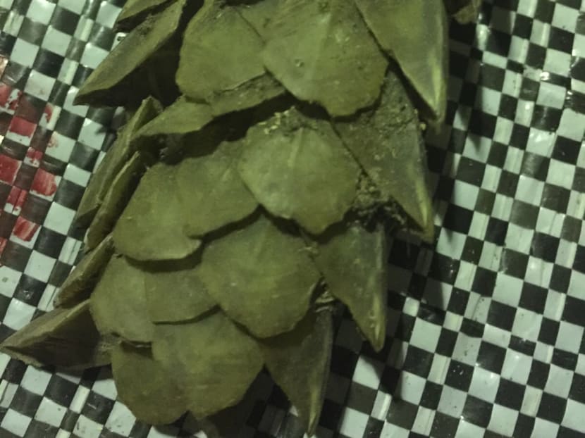 S$1.3m worth of illegal ivory, pangolin scales seized S$1.3m worth of illegal ivory, pangolin scales seized