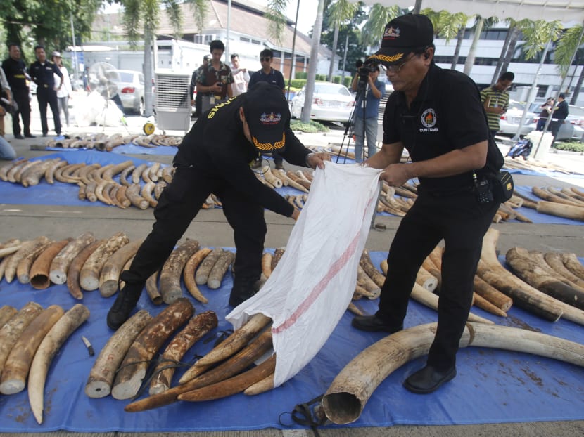 Thai customs officials display seized ivory at customs headquarters in Bangkok, Thailand today (April 27). Photo: AP