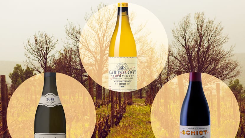 south african wines