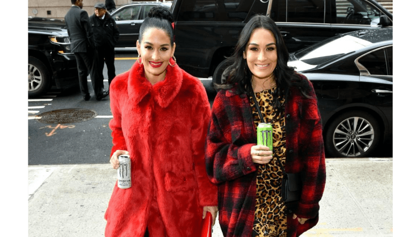 Brie and Nikki Bella thought they'd done something wrong amid Hall of Fame phone call