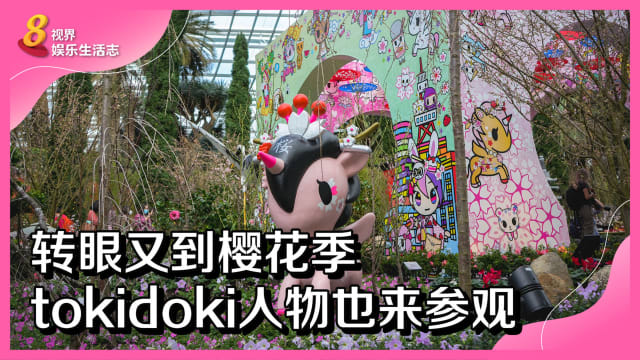 转眼又到樱花季　tokidoki人物也来参观！