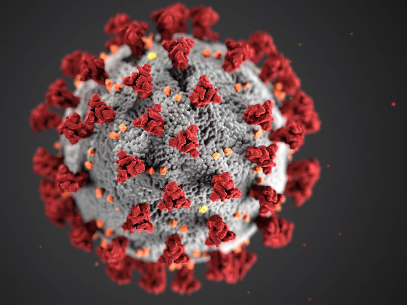 This illustration, created at the United States' Centers for Disease Control and Prevention, reveals ultrastructural morphology exhibited by coronaviruses.