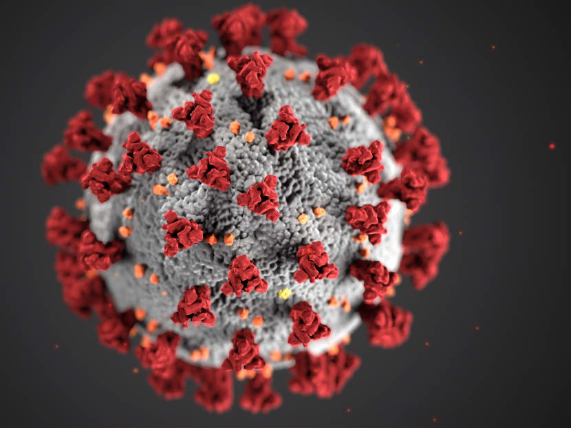 This illustration, created at the United States' Centers for Disease Control and Prevention, reveals ultrastructural morphology exhibited by coronaviruses. This illustration, created at the United States' Centers for Disease Control and Prevention, reveals ultrastructural morphology exhibited by coronaviruses.