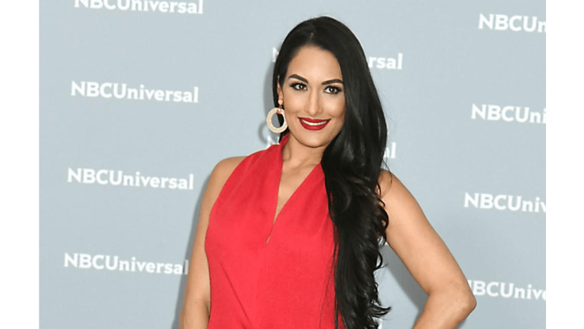 Nikki Bella: I'm still single Nikki Bella: I'm still single