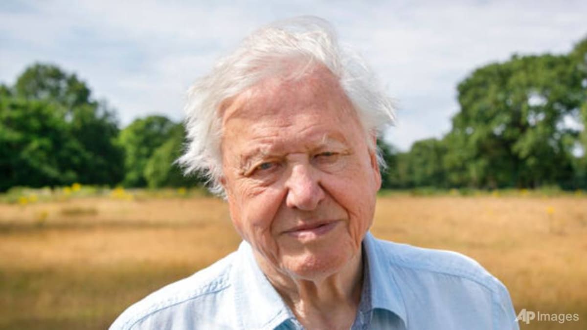 from-his-home-david-attenborough-shows-viewers-a-perfect-planet
