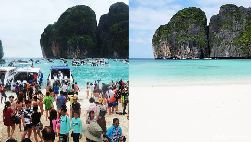 Sharks return to Thailand’s famous Maya Bay after tourist ban