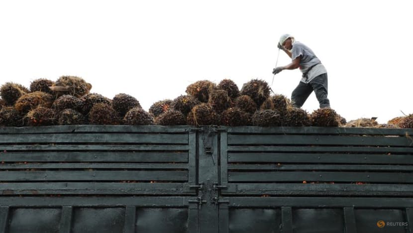 Malaysia's palm oil board urges countries to reconsider food versus fuel priorities