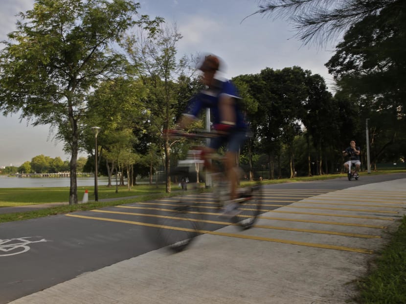 A cycling path at Taman Jurong. Photo: Wee Teck Hian/TODAY