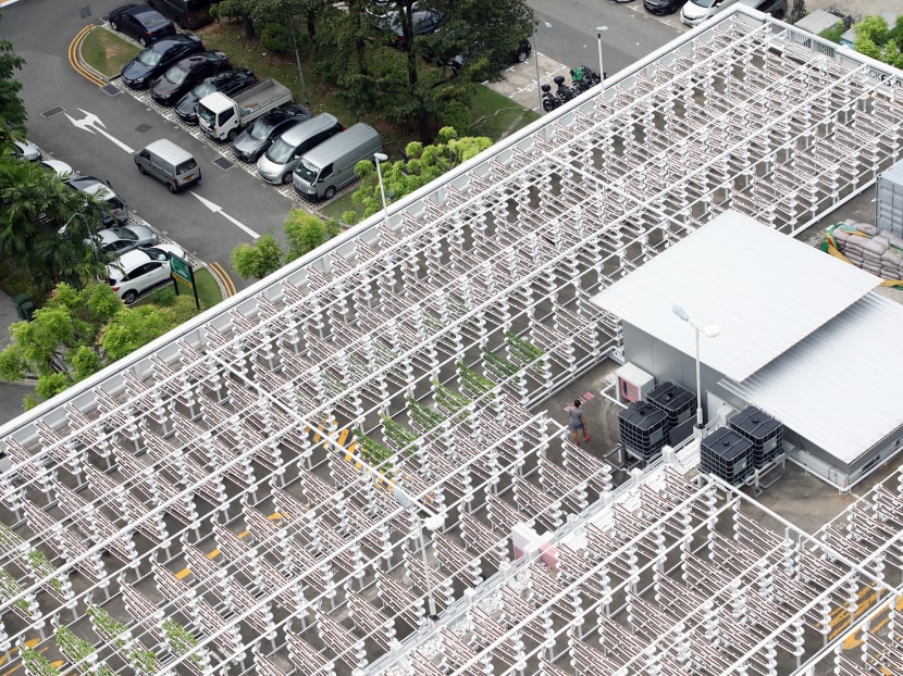 Citiponics' urban vertical farm is located on the rooftop of a multi-storey carpark at Blk 700, Ang Mo Kio Avenue 6. Citiponics' urban vertical farm is located on the rooftop of a multi-storey carpark at Blk 700, Ang Mo Kio Avenue 6.