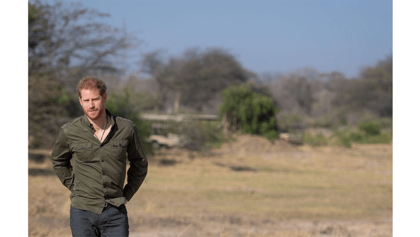 Prince Harry to edit National Geographic's Instagram Prince Harry to edit National Geographic's Instagram
