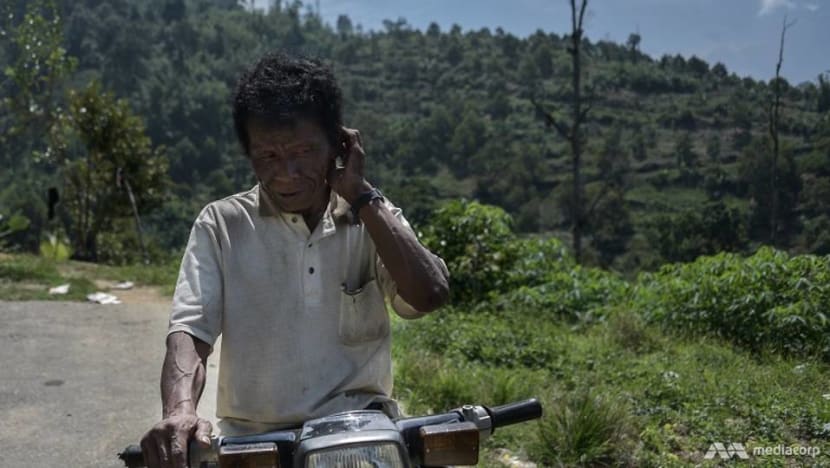 Orang Asli land under threat in Pahang as Musang King plantations grow