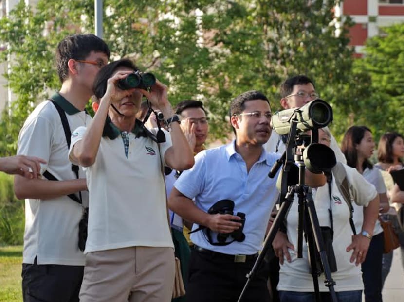 Around 400 participants, including students and workers, have signed up for a bird counting initiative by NParks to collect data on birds over the next 10 days. Photo: Low Wei Xin