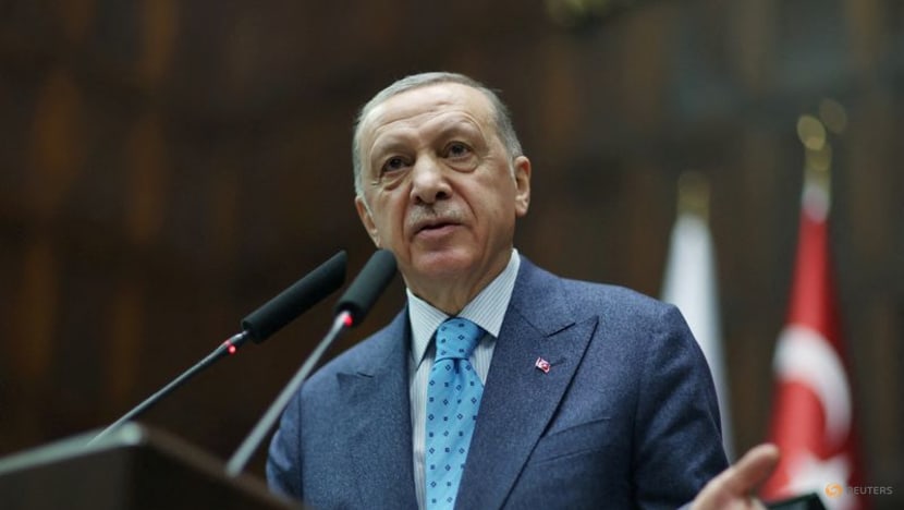 Turkey's Erdogan signals Finland's NATO bid may be considered over Sweden