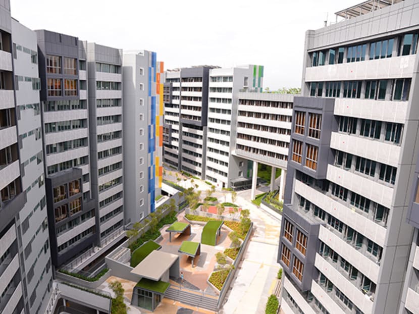A view of the Nanyang Crescent Halls cluster at Nanyang Technological University, of which Tamarind Hall is a part.