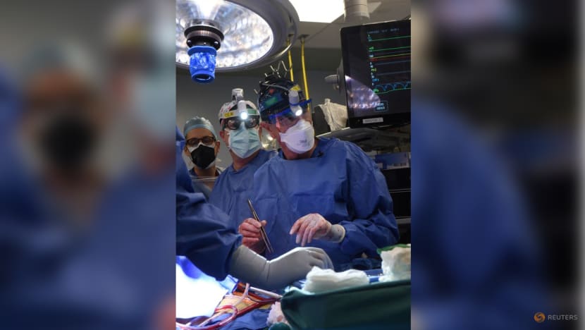 US man recovering after 'breakthrough' pig heart transplant