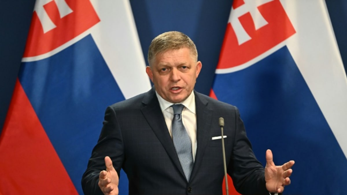 Slovak PM shooting: ‘positive’ health outlook, suspect in detention