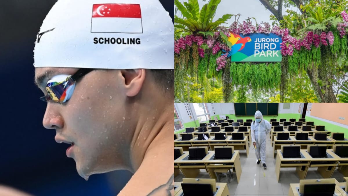 Daily Digest, 30 Agustus: Joseph Schooling mengaku membawa ganja ke luar negeri;  hampir 5.000 rumah susun BTO diluncurkan;  Taman Burung Jurong akan ditutup