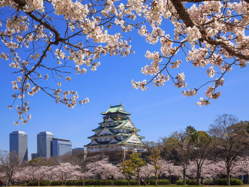 Visit Oasaka Castle on the six-day Osaka & Kyoto Sakura Edition package, available at the Chan Brothers Suntec Wanderlust Fair. Photo: Chan Brothers